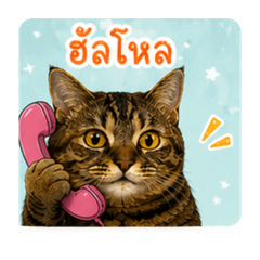 Little faii_20260429100635