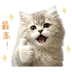 ekurea_20260511232953