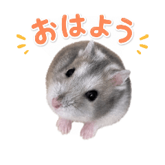 kanamix_20260511234704