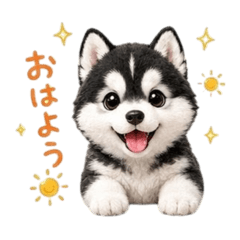 Kotastamp_20260511234739