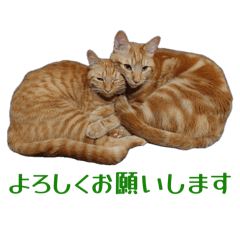 Tsunchan_20260511234229