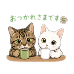 Shosho_20260511235118