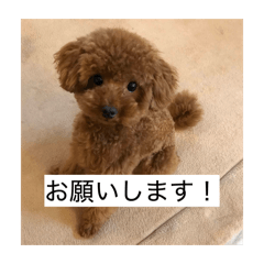 wakuto_20260511234529