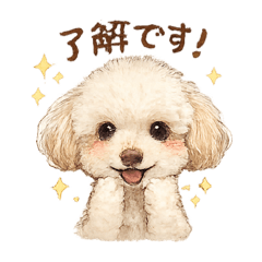 Daily Cute Poodle Stickers