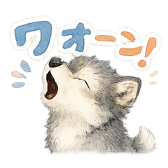 wolfwan_20260511232106