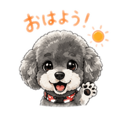 shima002_20260512002323