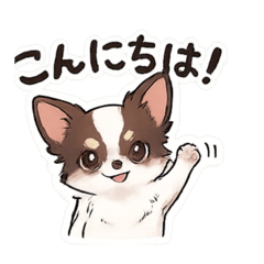 KYO_20260512002855