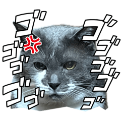 miiiiiki_20260512003244