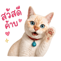 Lov_20260501153249