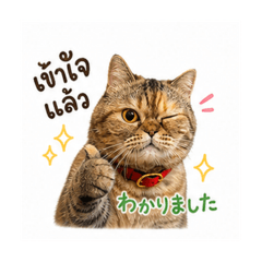 YASUAKIki_20260501153121