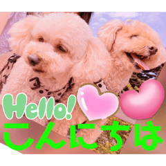 Mochioba_20260515071750