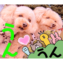 Mochioba_20260515074245