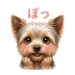 kuup_20260511184005