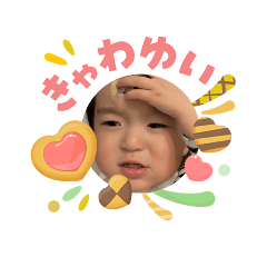 yamap_202605
