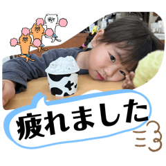 ringo_20260511184514