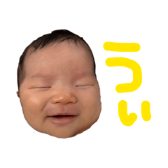 tsumu_2026