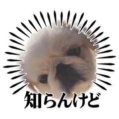 himemi
