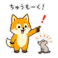 Title: Fox Brothers & a Little Mouse