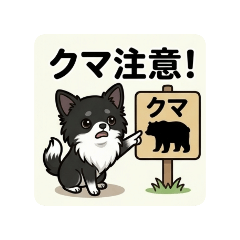 shunachiwa_20260514125156