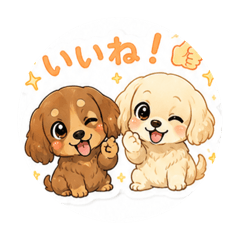 noa_20260514133143