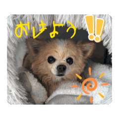 catk_20260514135534