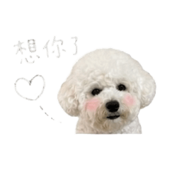 Kumo表情包☁️
