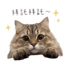 虎2♡