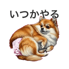 Koryu_20260502110535