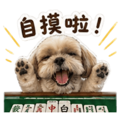 哈吉包寶第三彈之臭竹開戰啦
