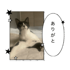mdk_20260514184455