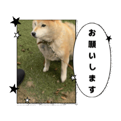 koume_20260514190944