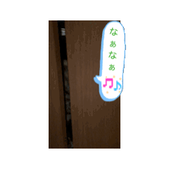 fujimo_20260514213722
