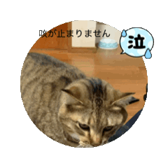 fujimo_20260514201801