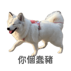咕嚕公主