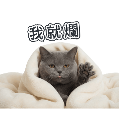 皮蛋教主！收徒弟啦