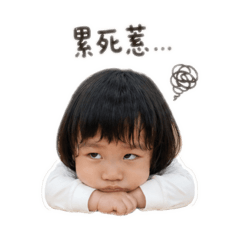 芋圓的生活日常7