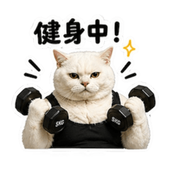 本喵日常-健身篇