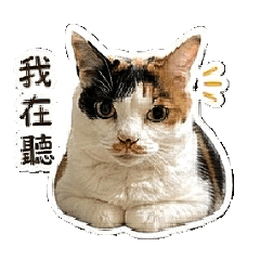 驕傲美女-大逼逼