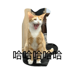 錢麥