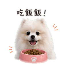 QQ博美小狗子