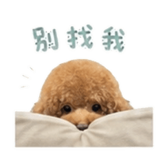 嗨 我4福寶