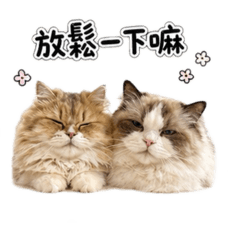 奶夯芋椪