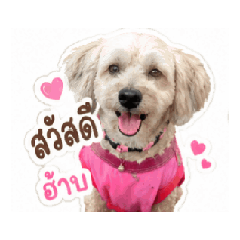 kung_20260514163300
