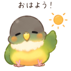 Mofukorodo5 Urokoinko