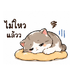 Lazy Cat Mood Dairy