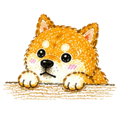 Cute Shiba Daily2