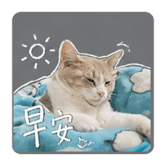 尼嚕