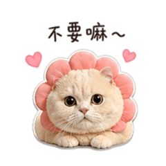 沐沐桑裝可愛