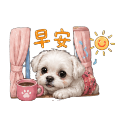林拉菲的日常