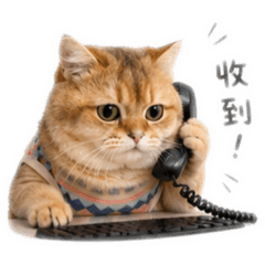 元元上班日常